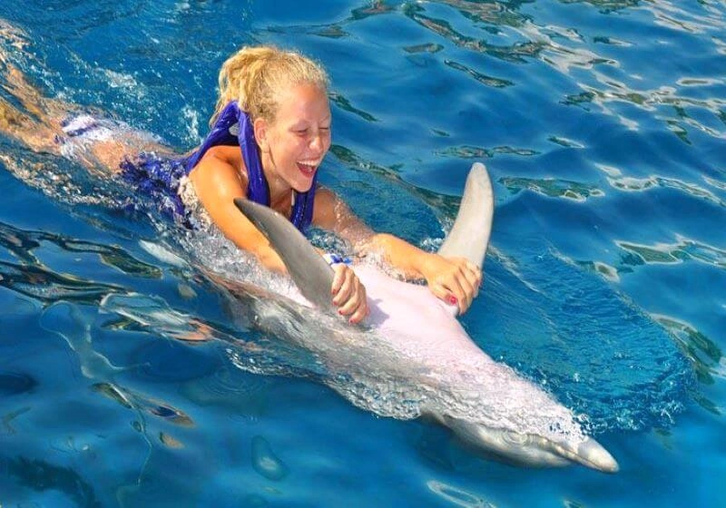Плавание с дельфинами в Sealanya Dolphinpark — радость и эмоции